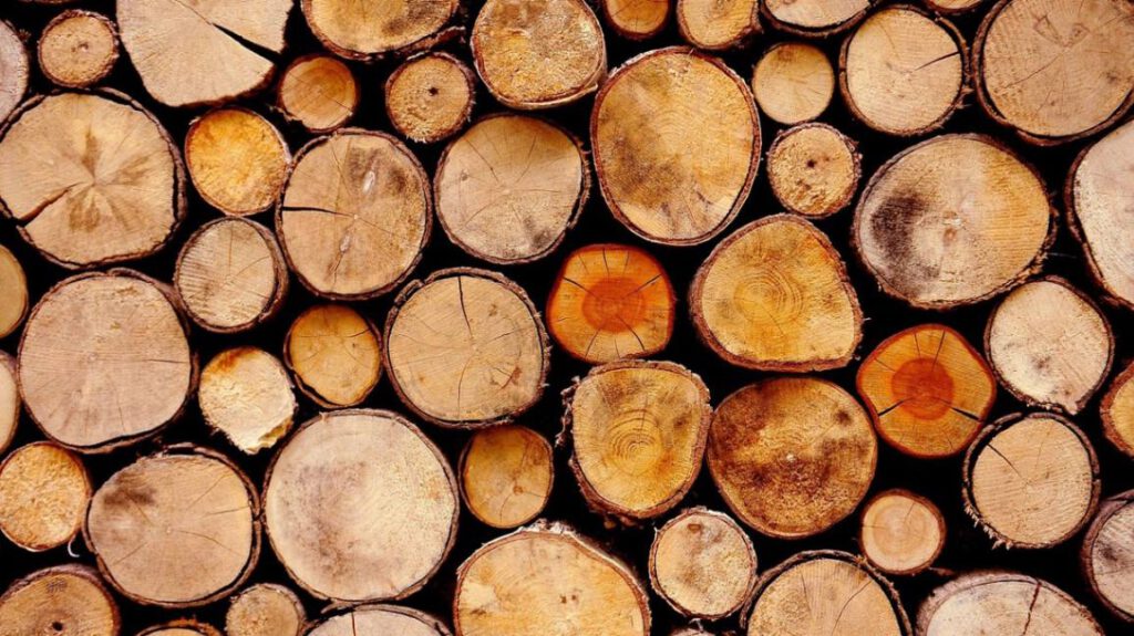 Drewno na dom – co wybrać?